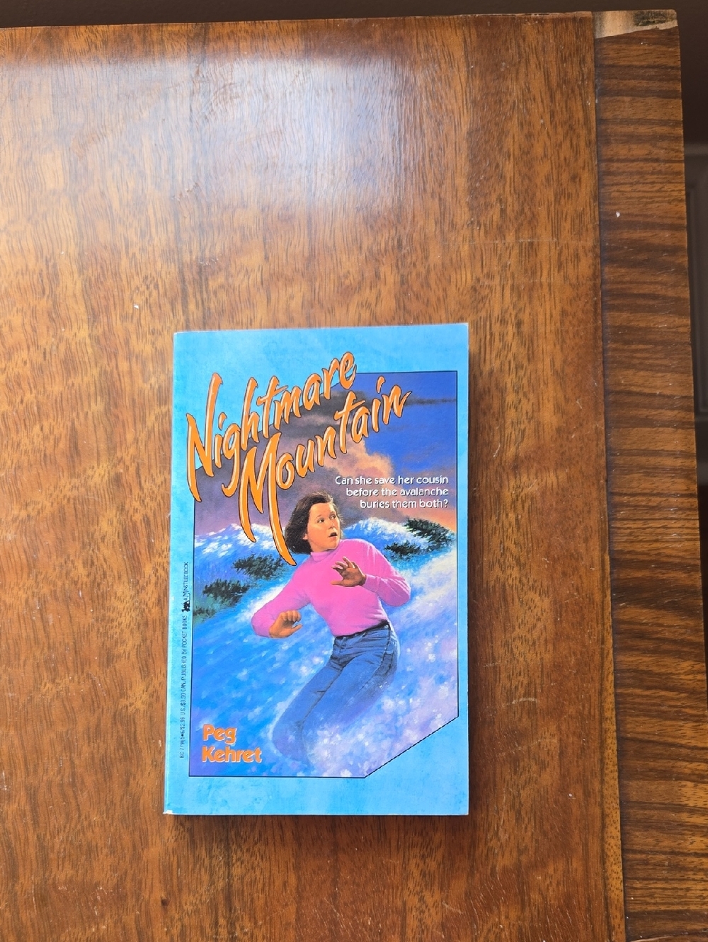 Nightmare Mountain Paperback Book